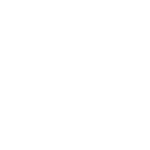 Osman IT Logo